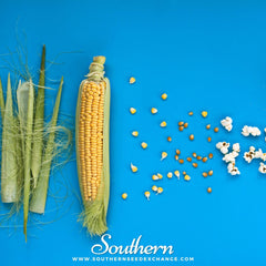 Popcorn Corn – 30 Seeds