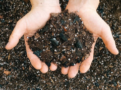 Dirt Bag: 1 Gallon