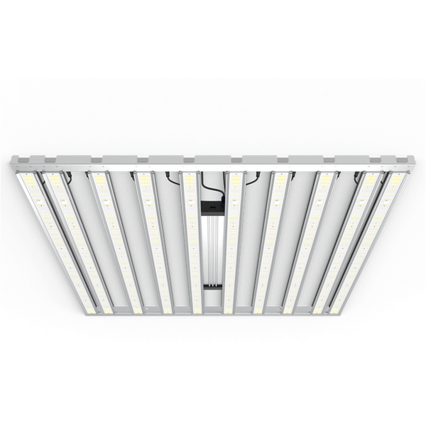 Grand Master LEDs Tarantula Tent Ultimate 5x5 1000W LED Grow Light