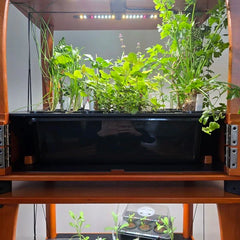 13L Water Tank