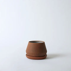 The Rancho Planter