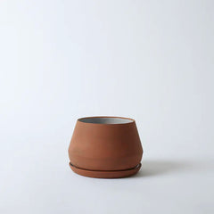 The Rancho Planter