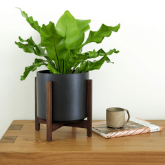 Solid Goods Ceramic Cylinder– With or Without Mahogany Stand