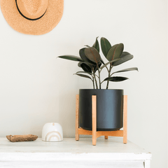 Solid Goods Ceramic Cylinder– With or Without Mahogany Stand