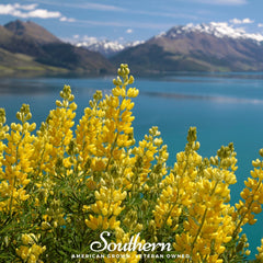 Yellow Lupine – 50 Seeds