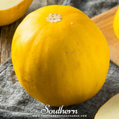 Canary Melon – 25 Seeds