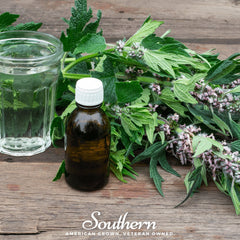 Motherwort – 50 Seeds