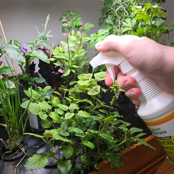 Neem Oil Spray