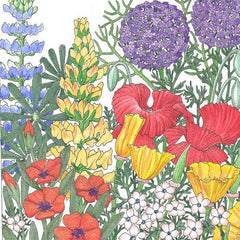 Northwest Wildflower Mix (1/4 lb)