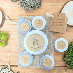 Organic 'Indoor Veggies' Seed Collection