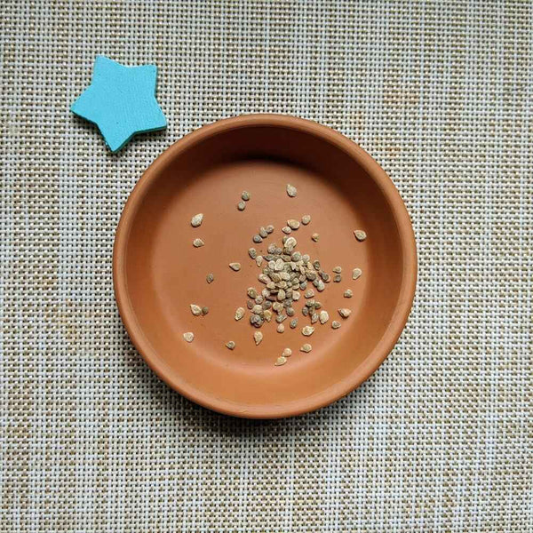 Organic Cherry Tomato Seeds