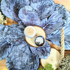 Organic Red Cabbage Seeds