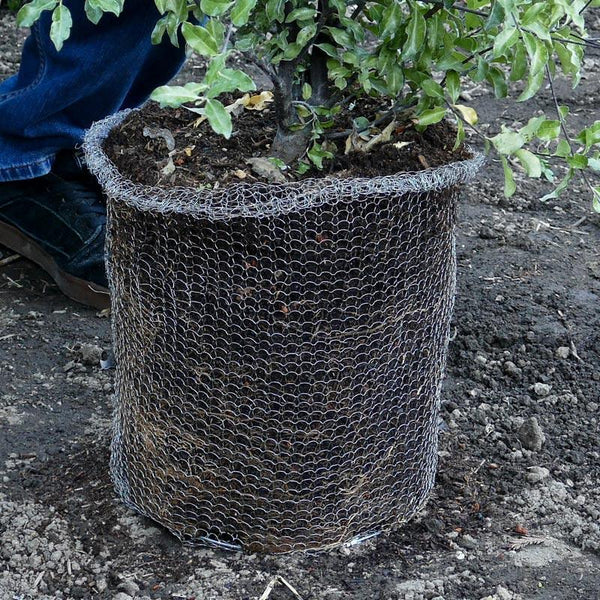 Root Guard Speed Basket 1 gal (4/pk)