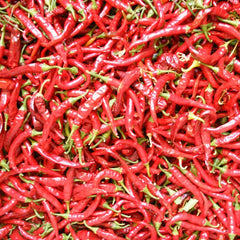 Hot Cayenne Slim Pepper Seeds (Organic)