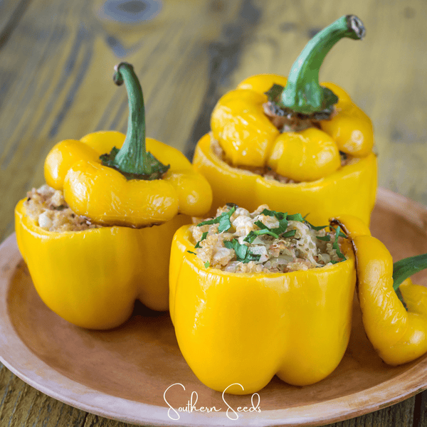 Sunbright Bell Pepper – 30 Seeds