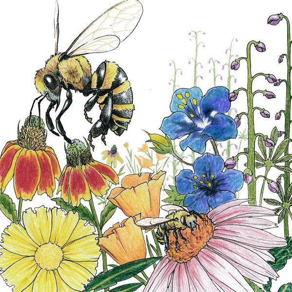 Save the Bees Wildflower Mix (1/4 lb)