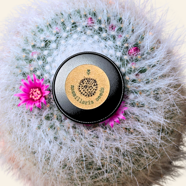 Mammillaria mix "Pincushion Cactus" Seeds