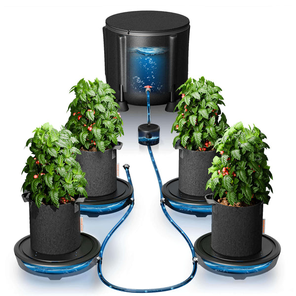 Spider Farmer 4 Self-watering System Kits