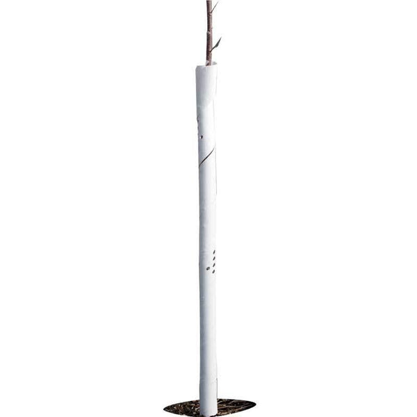 Spiral Tree Guards - 24" (Pack of 5)