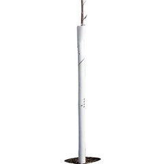 Spiral Tree Guards - 24" (Pack of 5)