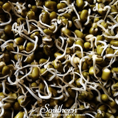 Mung Beans Sprout – 500 Seeds