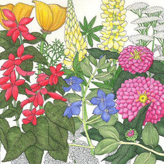 Deer Proof Garden Wildflower Mix (pack)