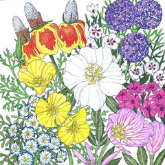 Southwest Wildflower Mix (Pack)