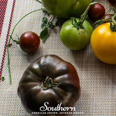 Cherokee Purple Tomato – 50 Seeds