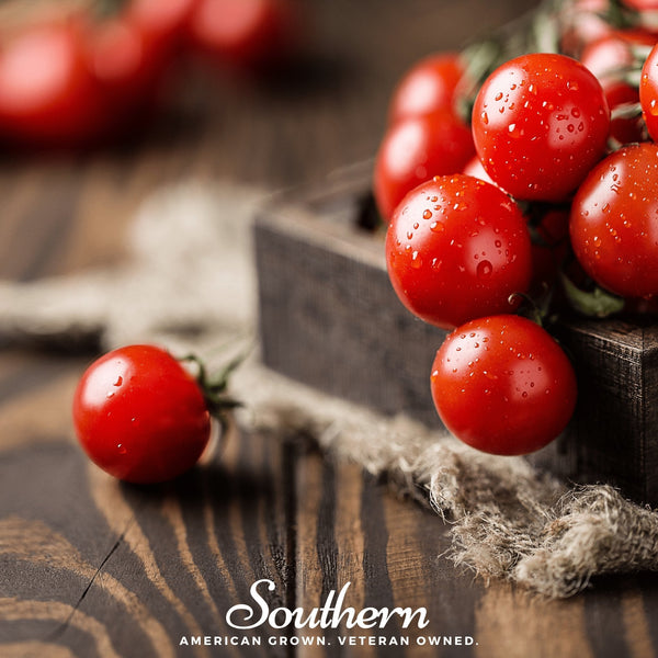 Small Red Cherry Tomato – 50 Seeds