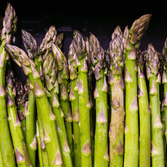 UC72 Asparagus – 50 Seeds